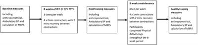 Effects of a maintenance period on ambulatory blood pressure and morning blood pressure surge in young normotensives post isometric training